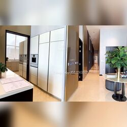 V On Shenton (D1), Apartment #455004541